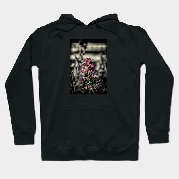 flower vintage Hoodie by rickylabellevie